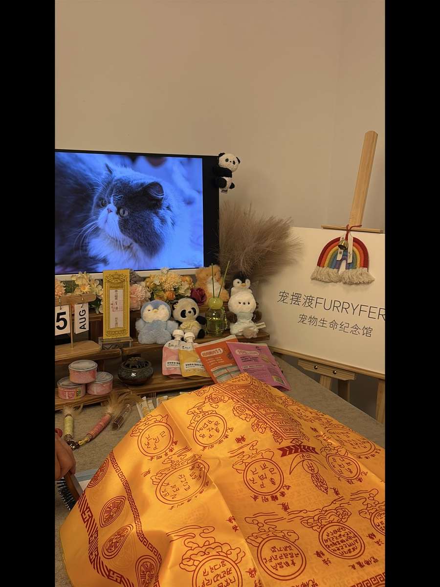 常州宠物告别厅